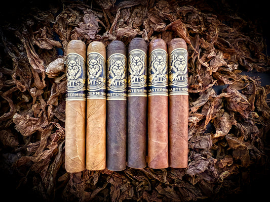 MTS Masterminds Blend Sampler Robusto